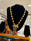 Shitahar-24K( Gold Plated)D6