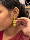 Gold Plated Earring (24K)D22