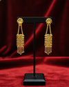 Gold Plated Earrings (24K) D62