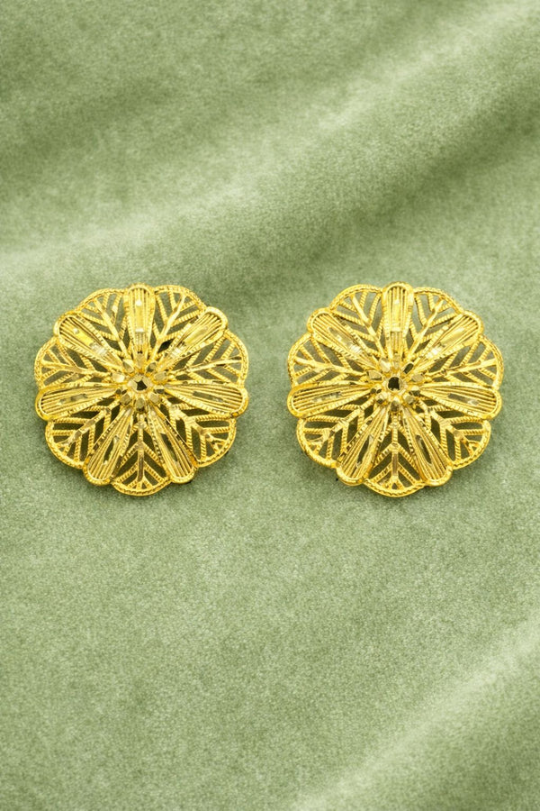 Kanpasha D19