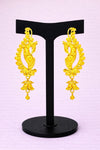 Ear Cuff Earrings (24K) D43