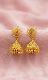 Jhumkas-24K(Gold Plated) D53