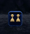 Jhumkas-24K(Gold Plated) D60