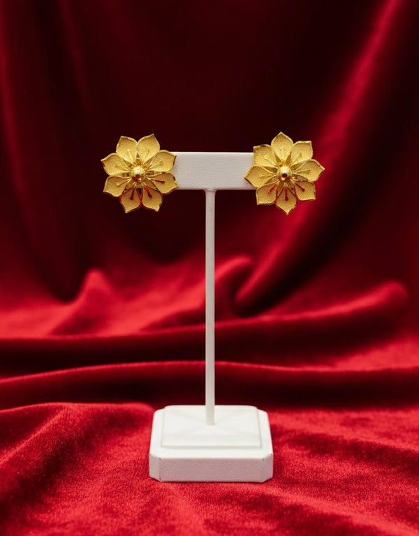 1.5g Kanpasha D10