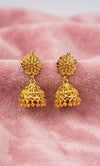 Jhumkas-24K(Gold Plated) D56